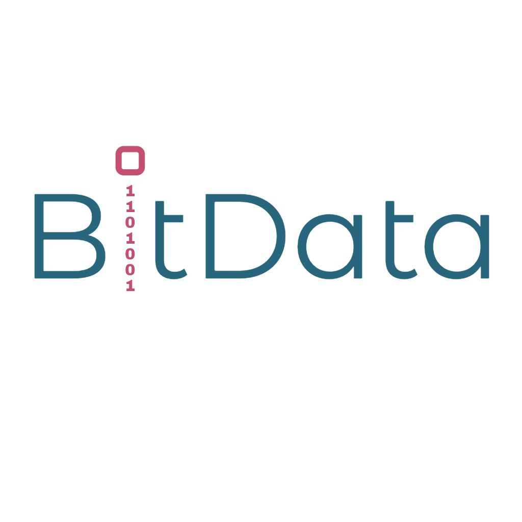 Bit Data LLC